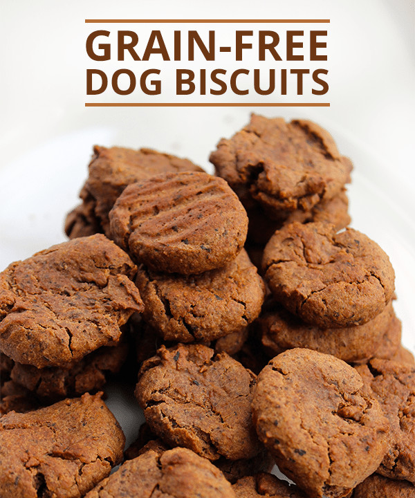 Healthy Dog Biscuit Recipe
 Grain Free Healthy Dog Biscuit Recipe