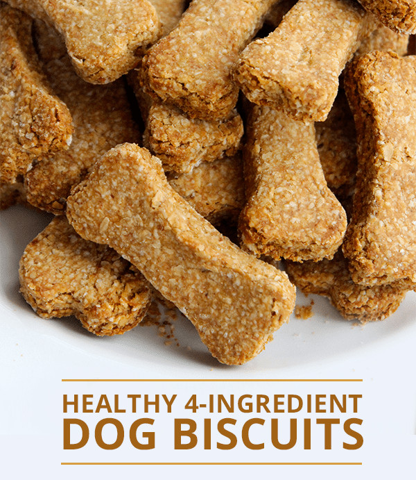 Healthy Dog Biscuit Recipe the Best Healthy 4 Ingre Nt Dog Biscuits Recipe