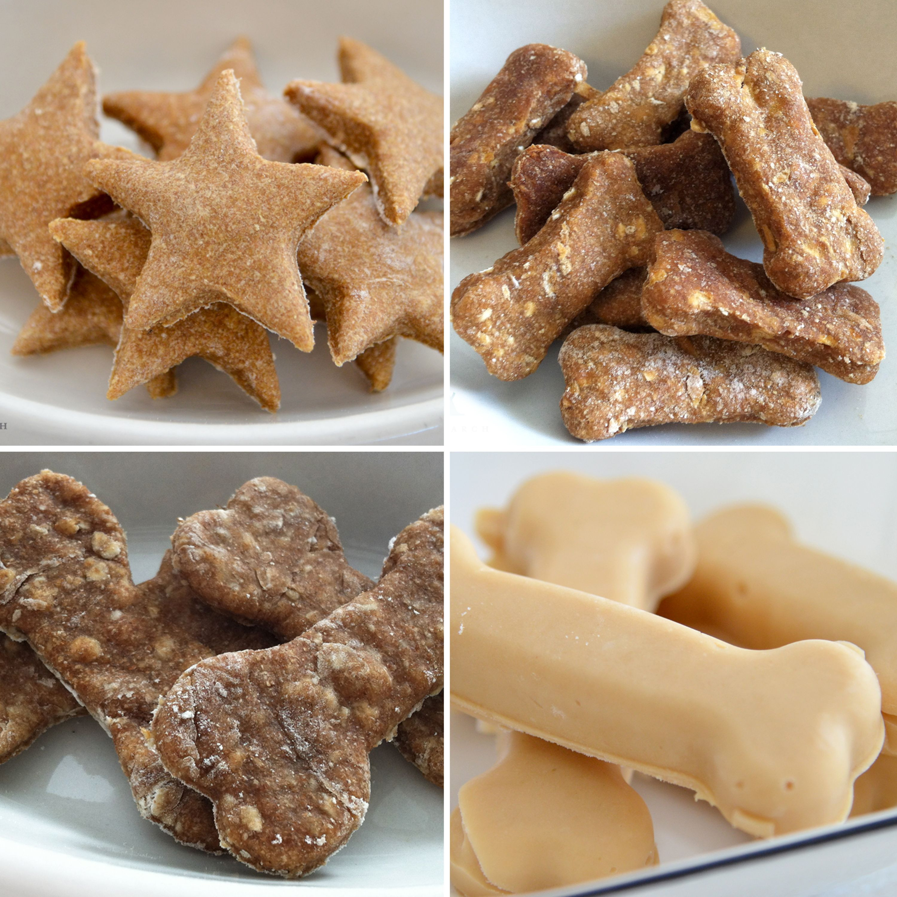 Healthy Dog Biscuit Recipe
 10 Healthy Homemade Dog Treats Thats so good