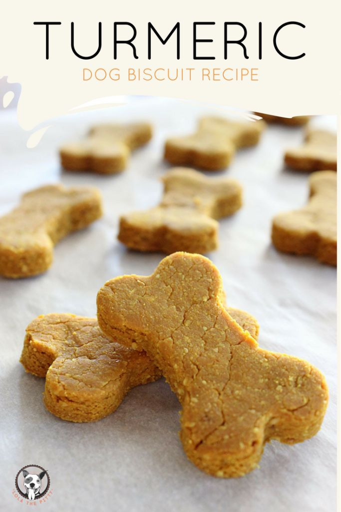 Healthy Dog Biscuit Recipe
 164 best Homemade Dog Treat Recipes images on Pinterest