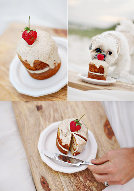 Healthy Dog Cake Recipe
 The Best Dog Birthday Cake Recipe Coco’s Birthday