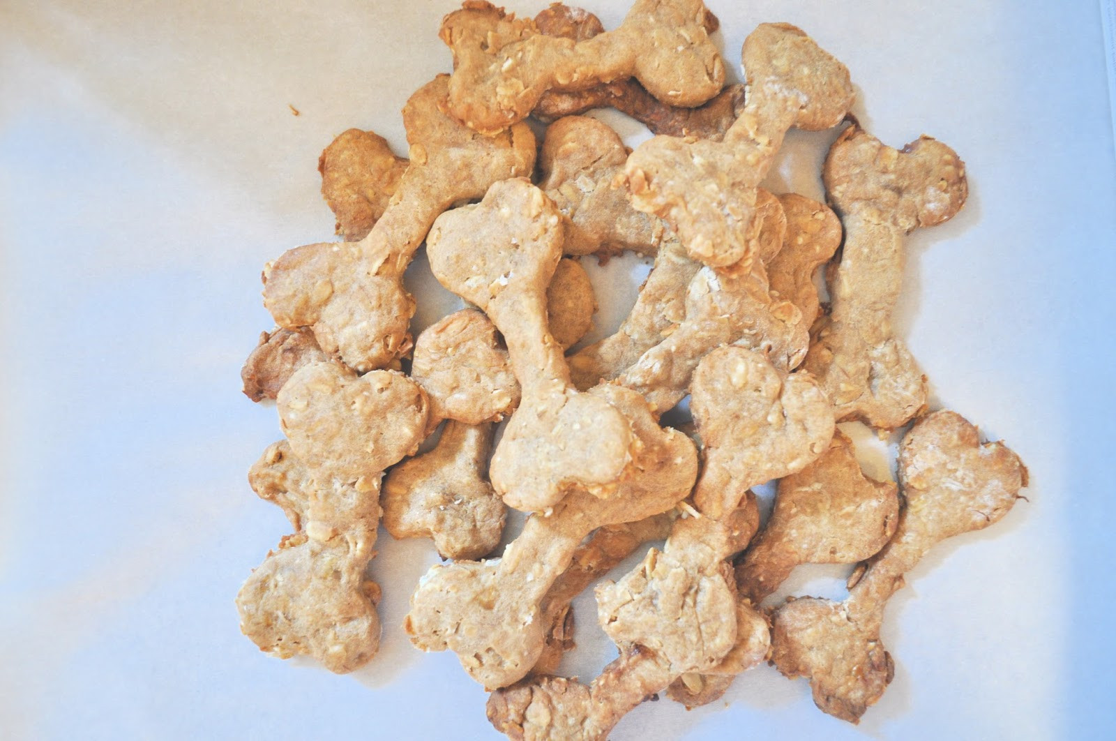 Healthy Dog Snacks
 Olive & Gray Healthy homemade dog treats