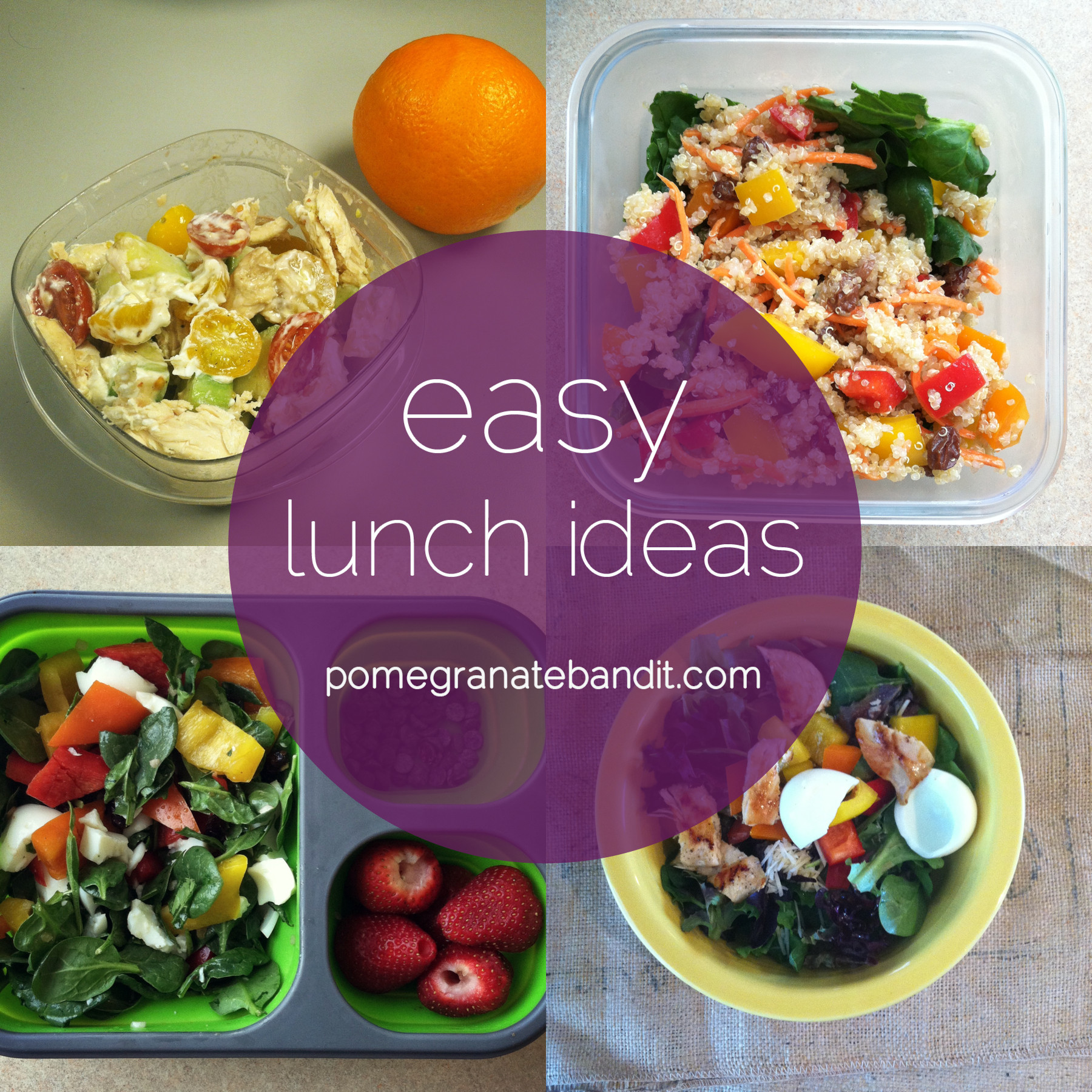 Healthy Easy Lunches
 easy lunch ideas volume 1