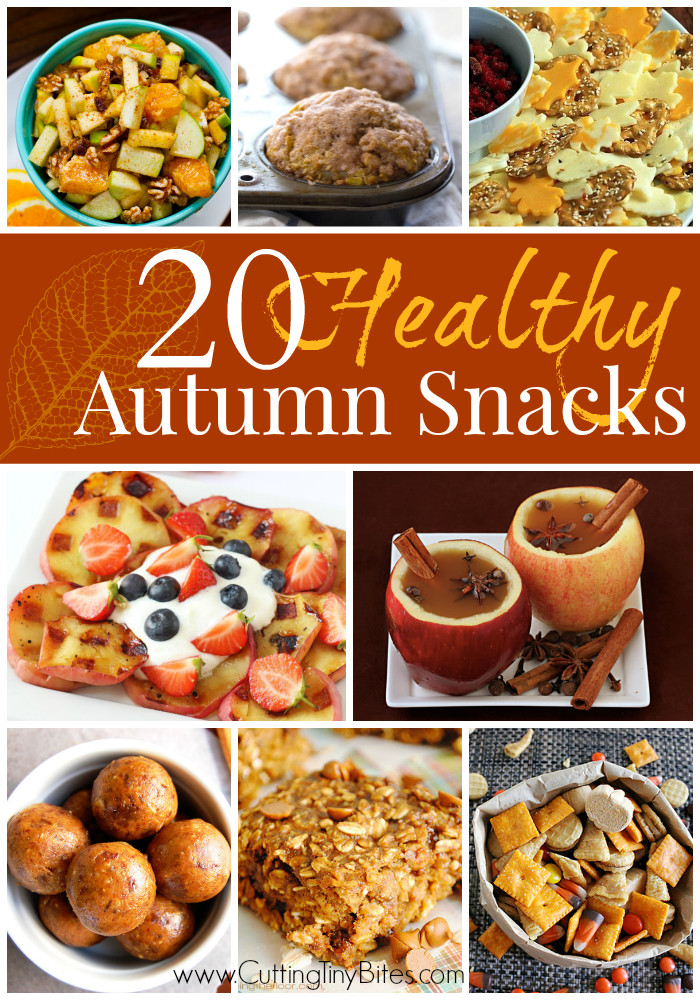 Healthy Fall Snacks
 Cutting Tiny Bites 20 Healthy Fall Snacks