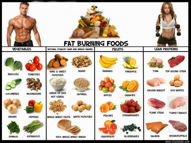 Healthy Fat Free Snacks
 Best Fat Burning Foods List