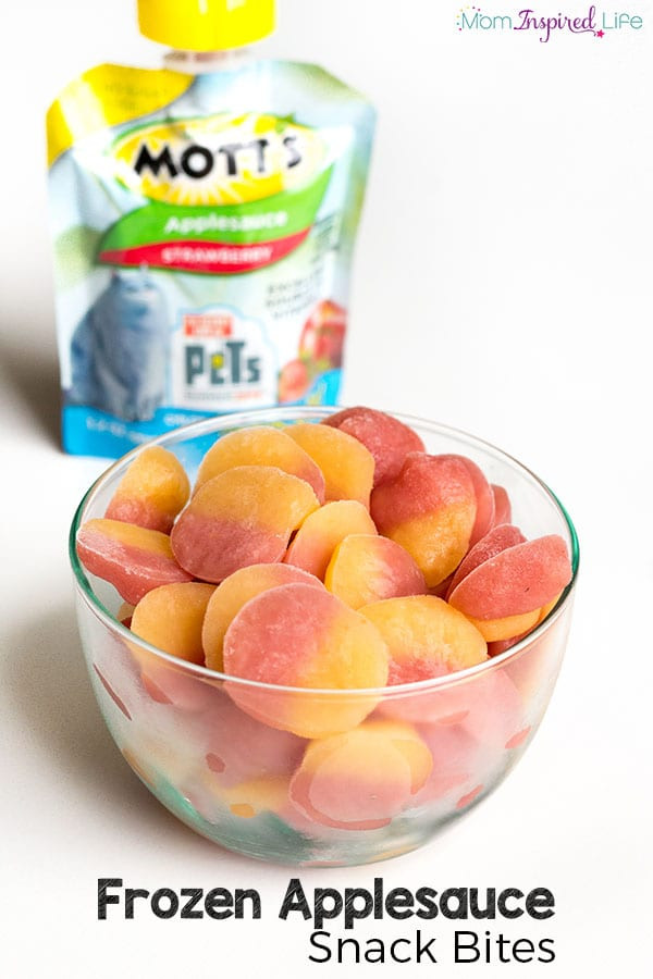 Healthy Frozen Snacks
 Super Easy Frozen Applesauce Snack for Kids