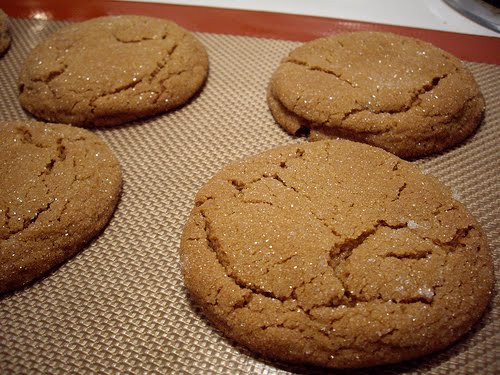 Healthy Ginger Molasses Cookies
 The Fitness Freak Healthy Ginger Cookies