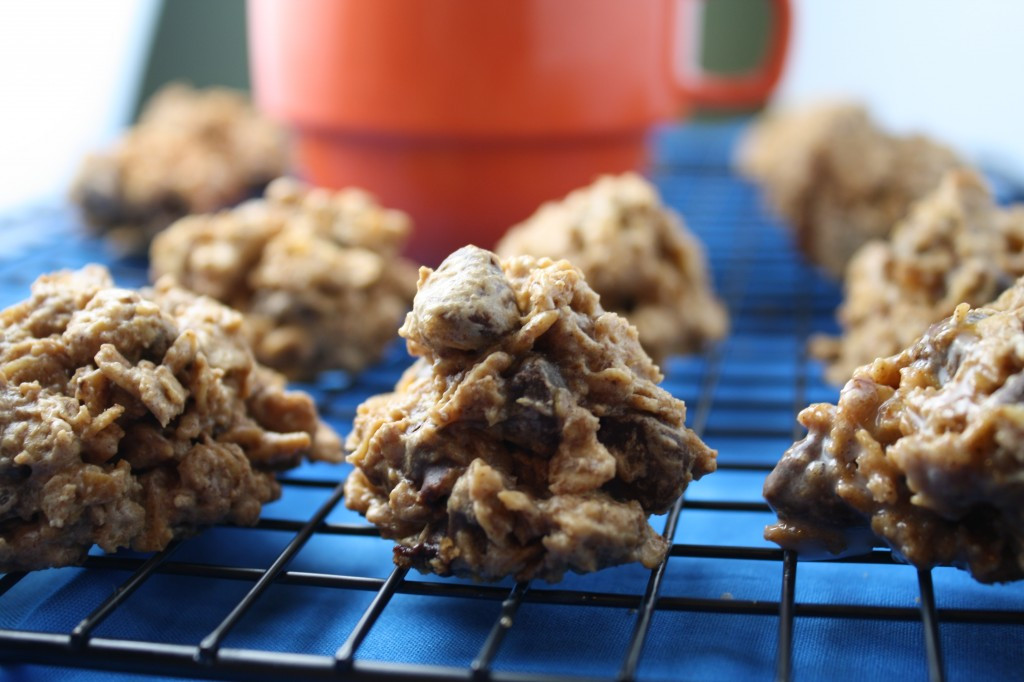 Healthy Gluten Free Oatmeal Cookies
 10 Days of Gluten Free Stocking Up & Healthy Oatmeal