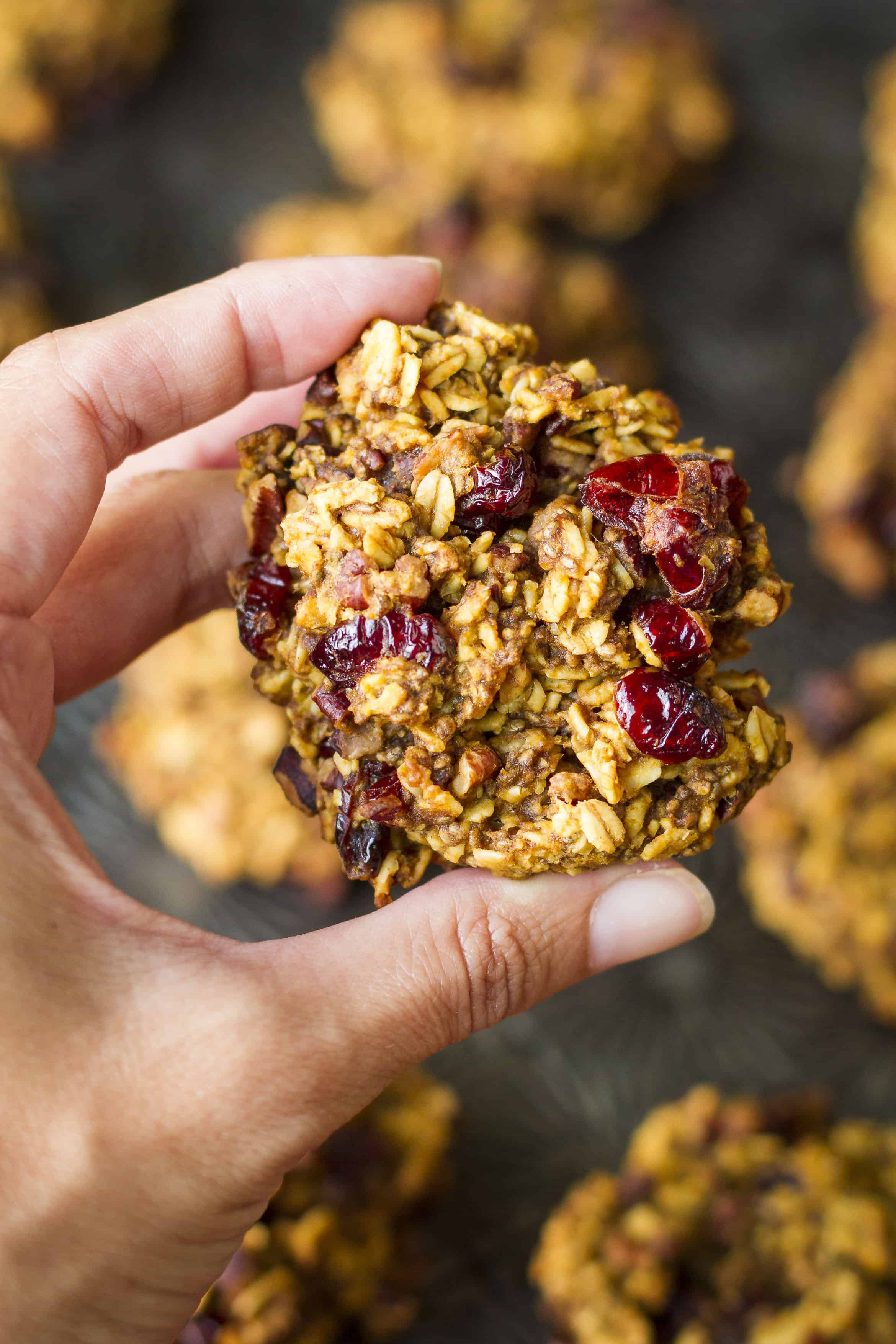 Healthy Grains For Breakfast
 Healthy Pumpkin Breakfast Cookies – Unsophisticook