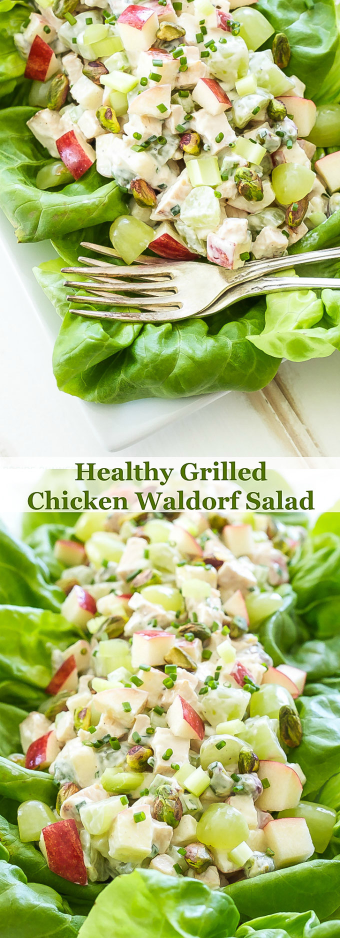 Healthy Grilled Chicken Salad
 Healthy Grilled Chicken Waldorf Salad Recipe Runner