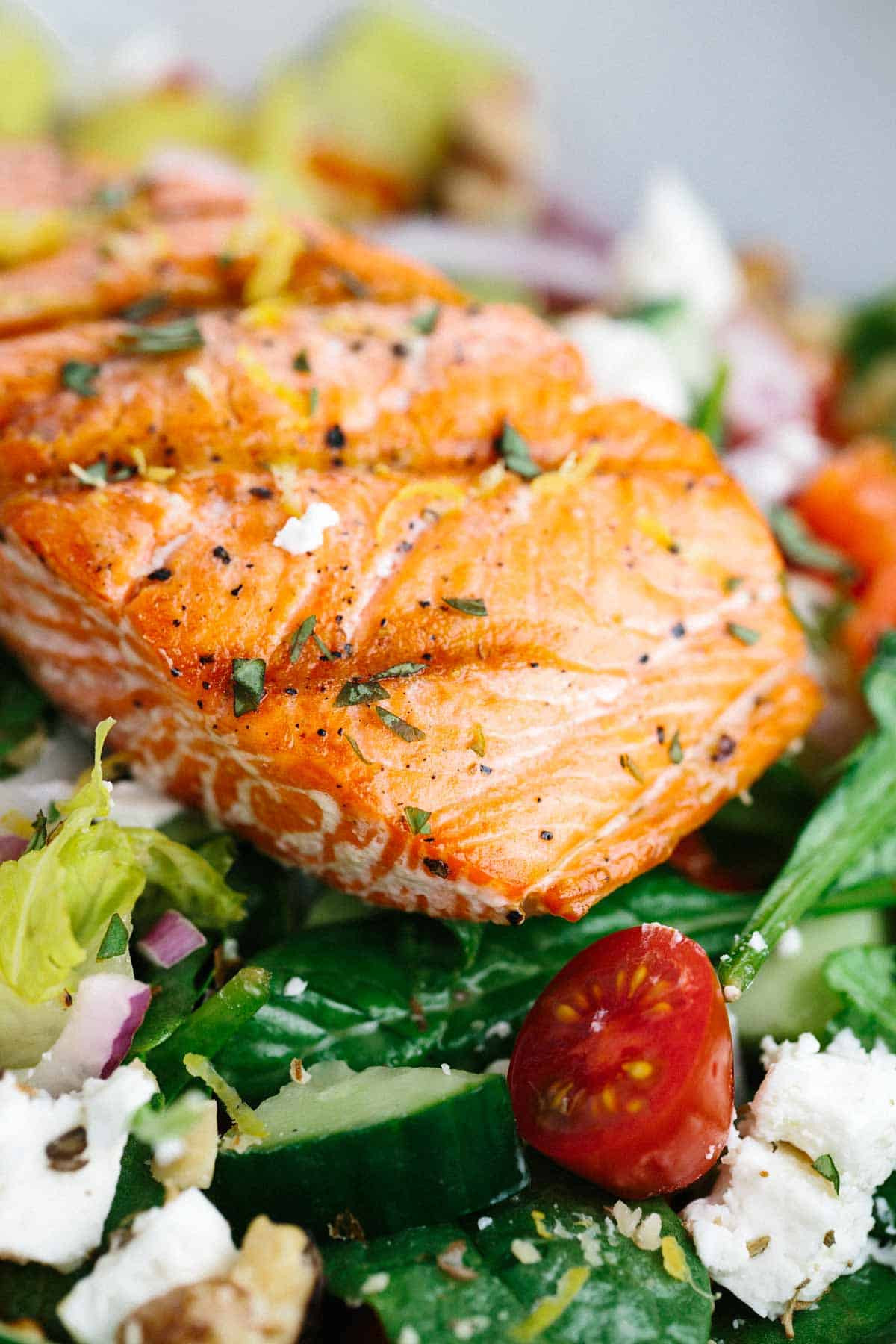 Healthy Grilled Salmon Salad Recipe
 Recipes grilled salmon salad Food salad recipes