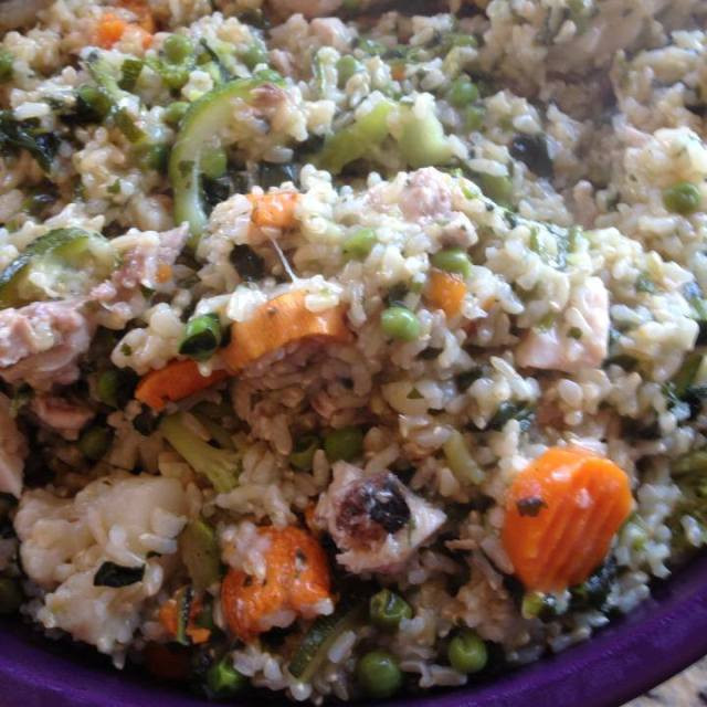 Healthy Ground Chicken Casserole
 Healthy Casserole for your Dogs CA GSP Rescue