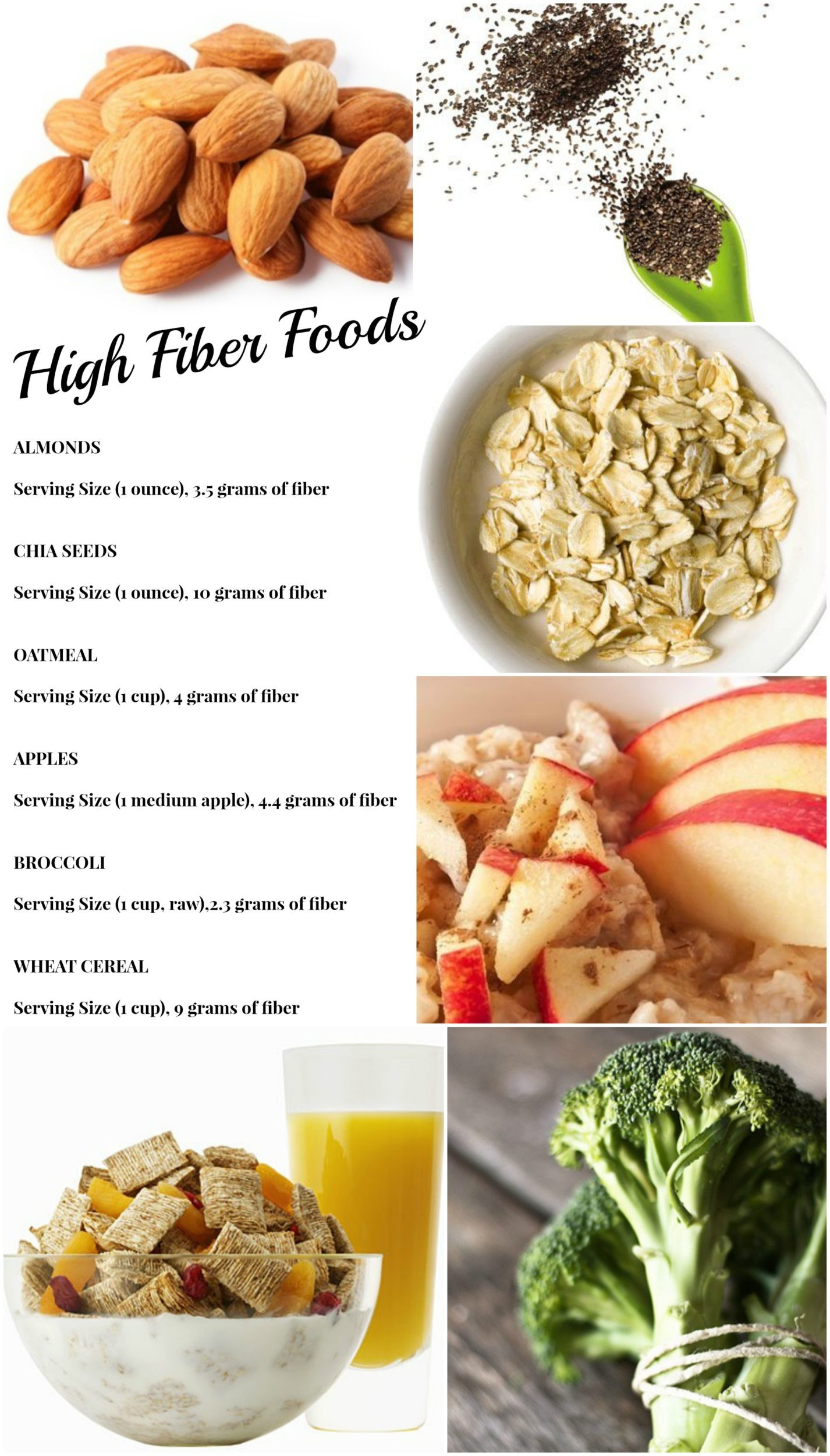 Healthy High Fiber Snacks
 Lose More Weight with a High Fiber Diet