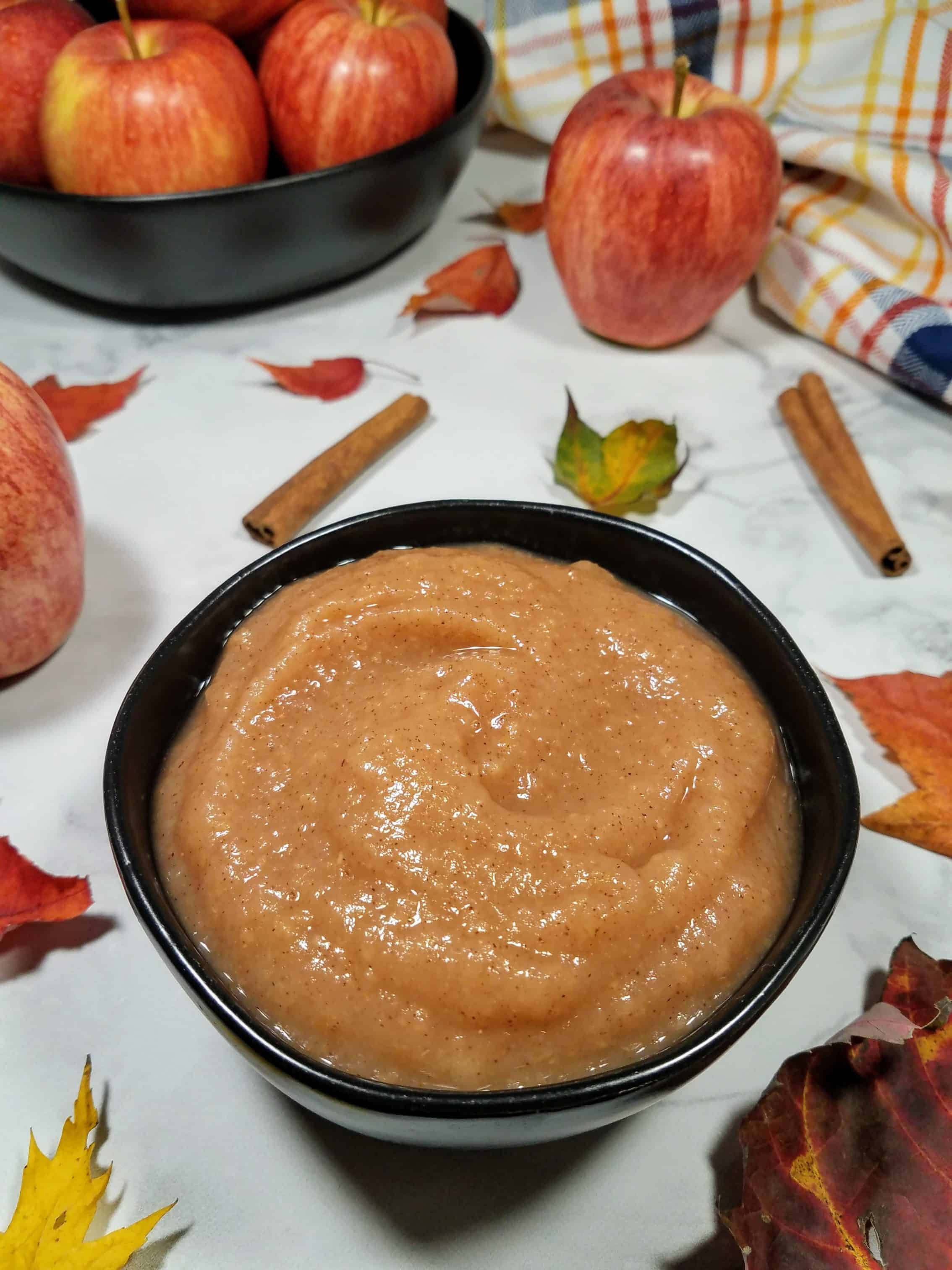 Healthy Homemade Applesauce
 The Panicked Foo where fy meets healthy