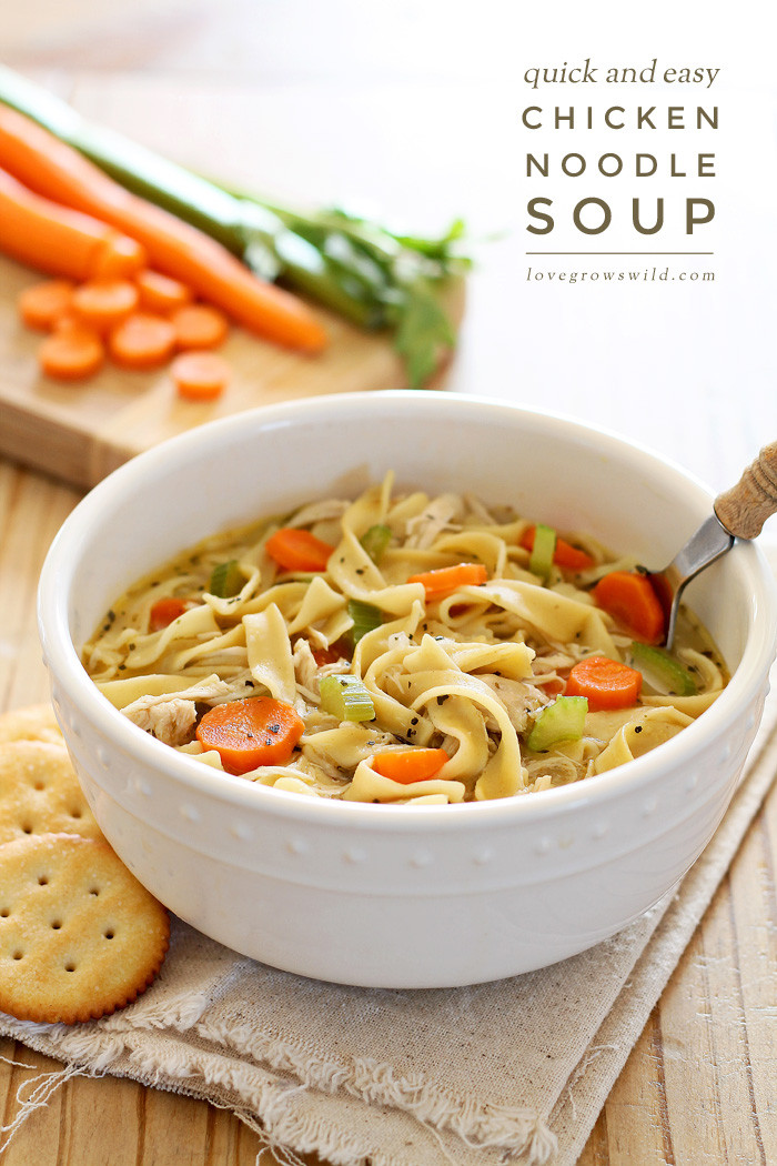 Healthy Homemade Chicken Noodle Soup
 Quick and Easy Chicken Noodle Soup Love Grows Wild