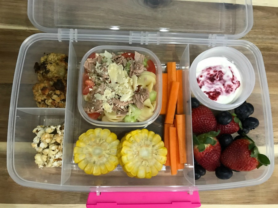 Healthy Homemade Lunches
 ONE weeks worth of HEALTHY homemade lunch box treats