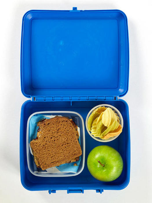 Healthy Homemade Lunches
 Healthy Homemade Lunches Your Kids Will Love