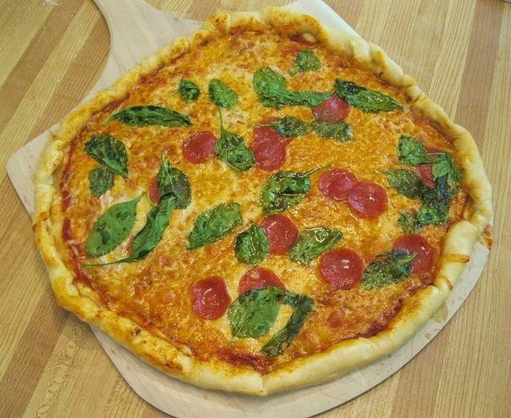 Healthy Homemade Pizza Dough
 Homemade Pizza Dough Recipe Healthy