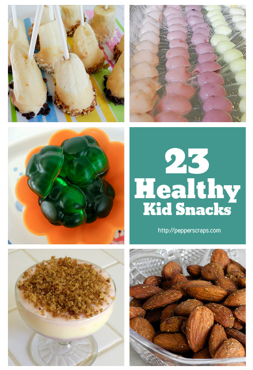 Healthy Homemade Snacks For Kids
 23 Healthy Kid Snacks – Pepper Scraps