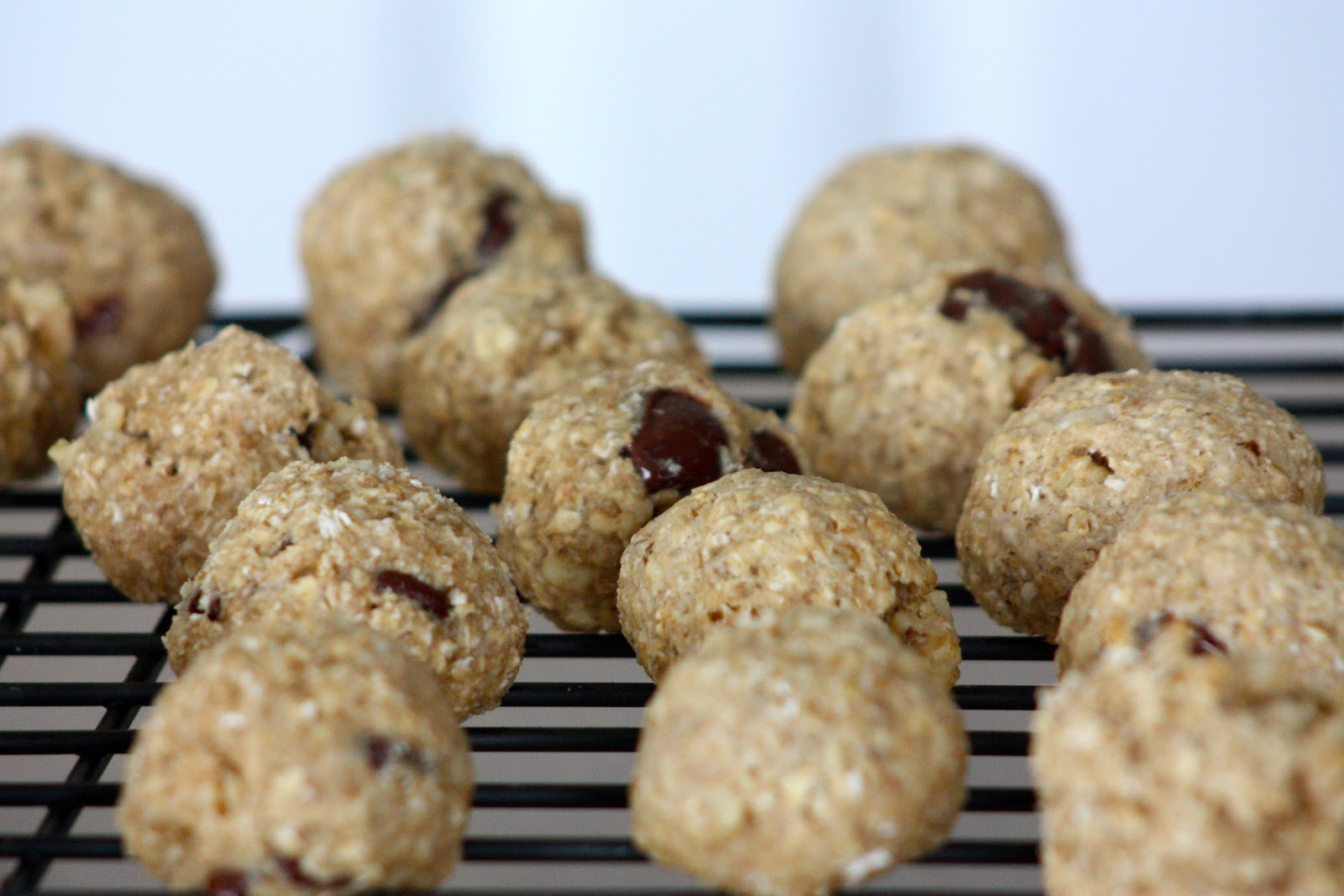 Healthy Honey Oatmeal Cookies
 A Musing Mamma Healthy Honey Oatmeal Chocolate Chip