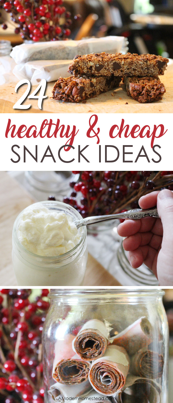 Healthy Inexpensive Snacks
 Bud Friendly Healthy Snack Ideas
