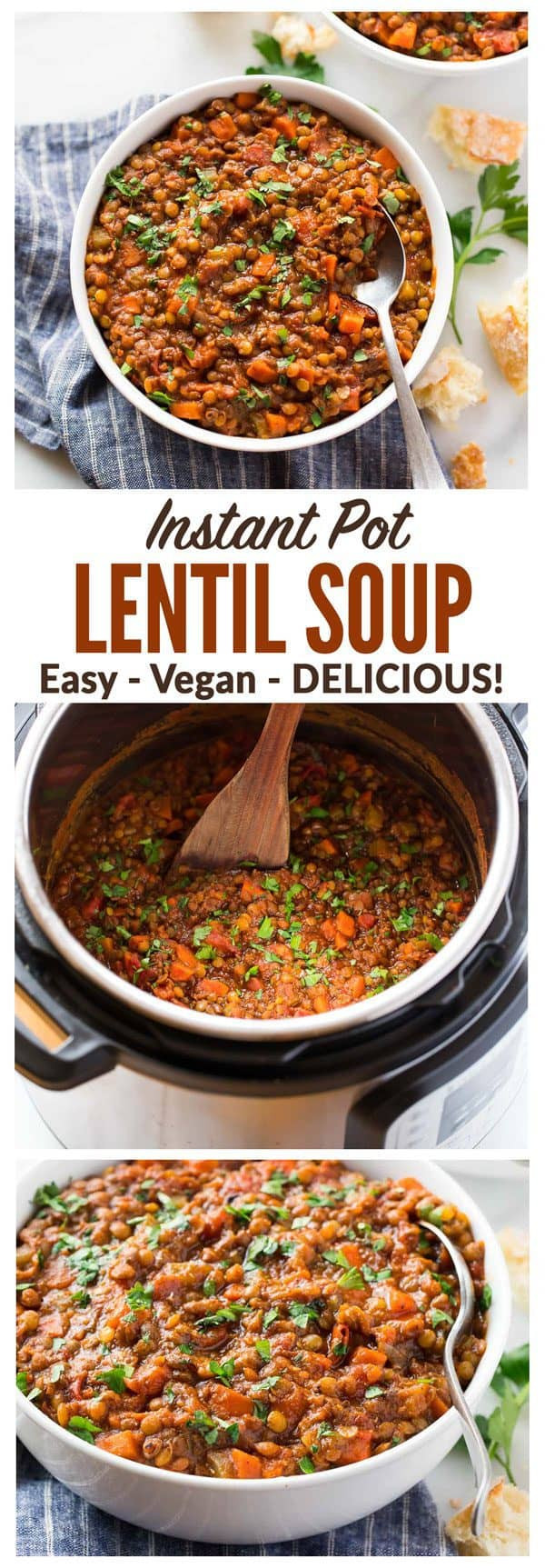 Healthy Instant Pot Recipes Vegetarian
 Instant Pot Lentil Soup
