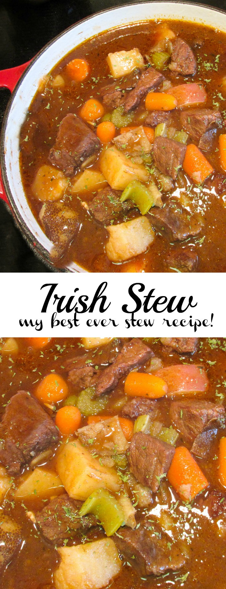 Healthy Irish Recipes
 healthy irish stew