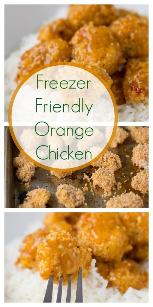 Healthy Kid Friendly Chicken Recipes
 Freezer Friendly Healthy Orange Chicken