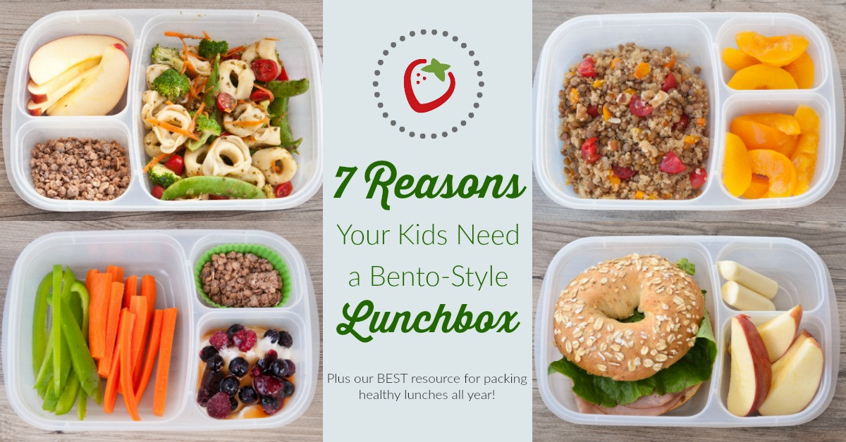 Healthy Kid Lunches
 7 Reasons Why Your Kids Need a Bento Style Lunchbox