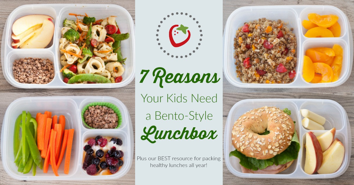 Healthy Kids Lunches
 7 Reasons Why Your Kids Need a Bento Style Lunchbox