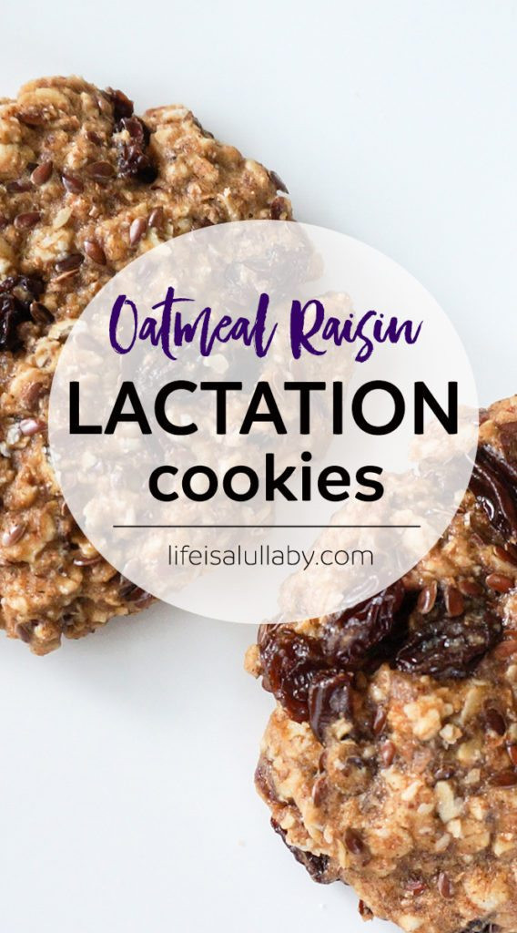 Healthy Lactation Cookies Recipe
 The Best Oatmeal Raisin Lactation Cookies Recipe