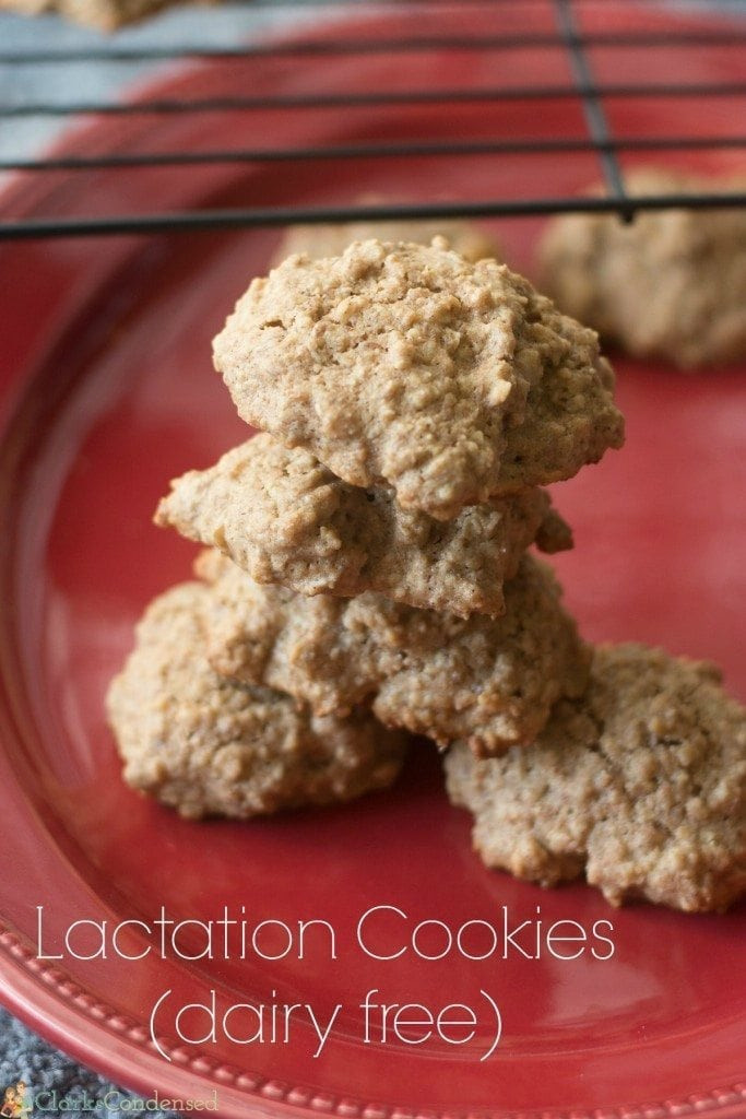 Healthy Lactation Cookies Recipe
 Easy Lactation Cookie Recipe