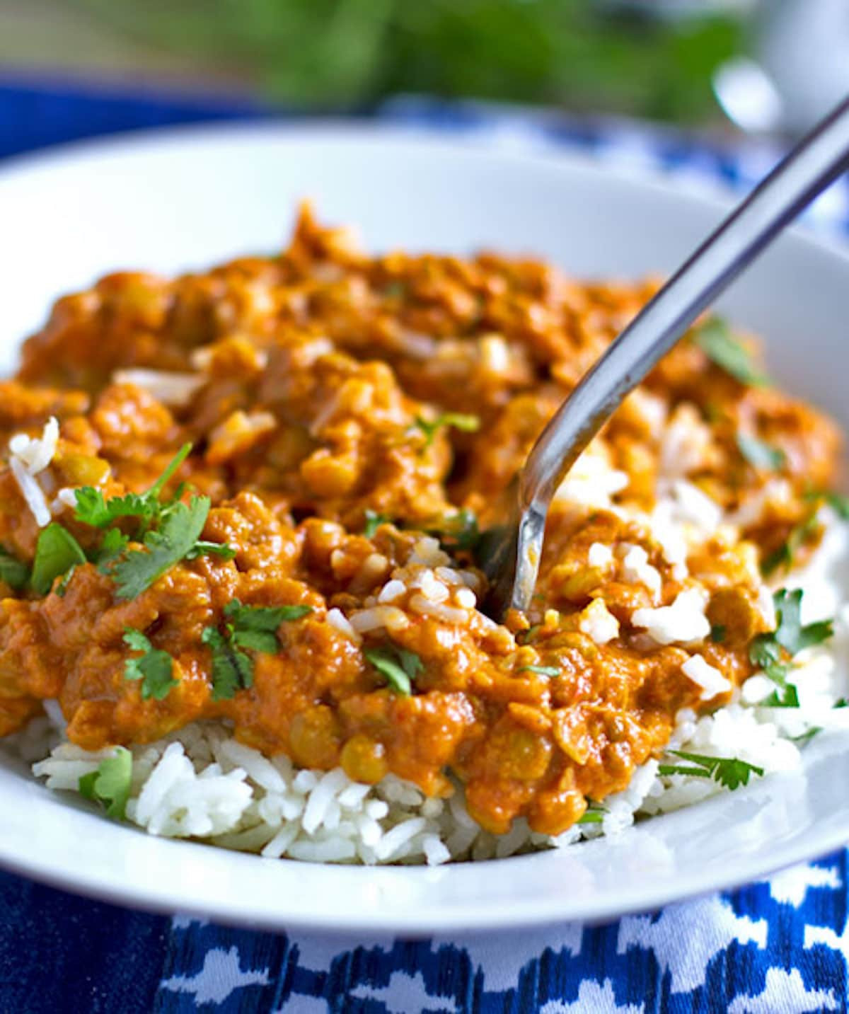 Healthy Lentil Recipes
 Red Curry Lentils Recipe Pinch of Yum