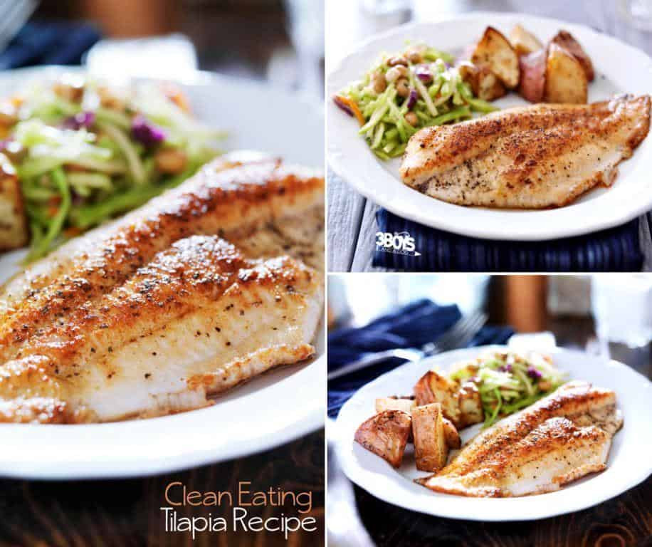 Healthy Low Fat Recipes
 Low Fat Tilapia Recipes Healthy