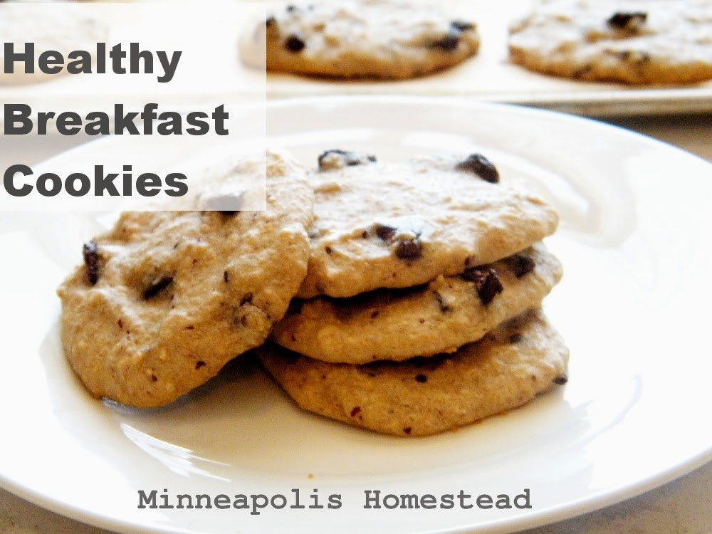 Healthy Low Sugar Breakfast
 High Protein Banana Chocolate Chip Breakfast Cookies