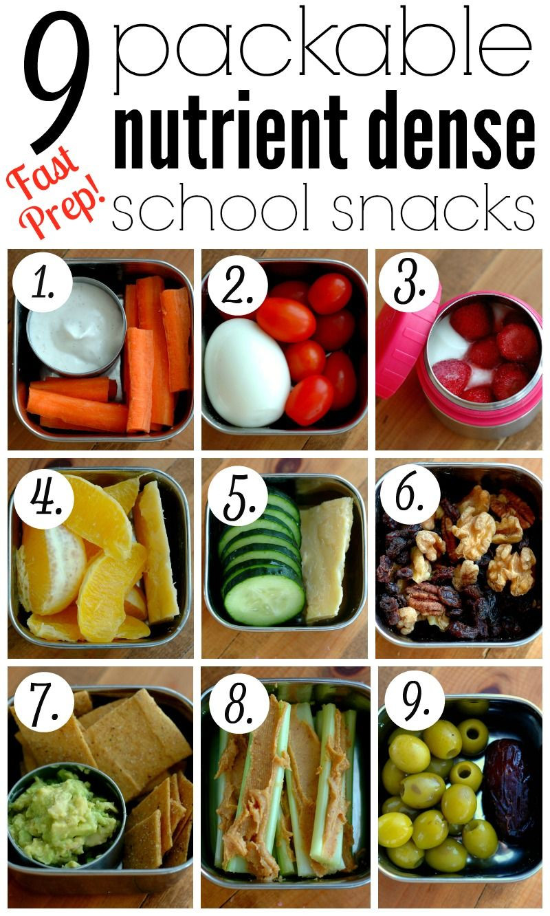 Healthy Lunch Snacks For Kids
 9 Packable Nutrient Dense School Snacks