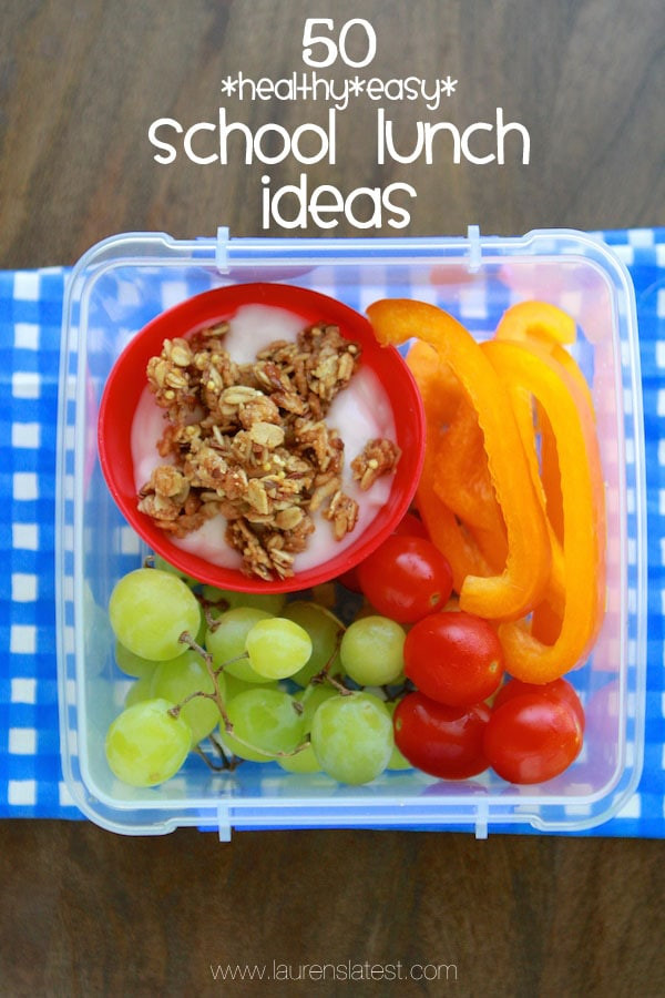 Healthy Lunch Snacks For School
 50 Healthy School Lunch Ideas