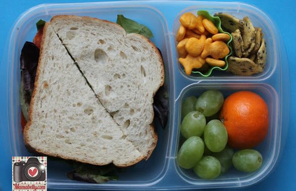 Healthy Lunches For Teens
 All about packing lunch boxes for teen boys and girls