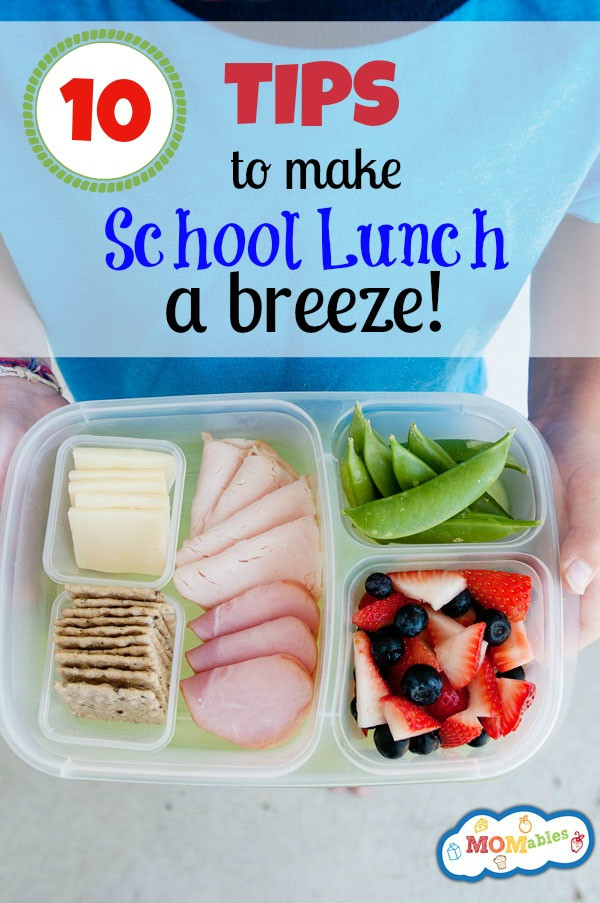 Healthy Lunches To Pack For School
 Healthy Lunch Packing Tips