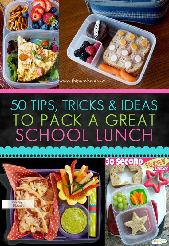 Healthy Lunches To Pack For School
 255 best Help for Packing School Lunches images on