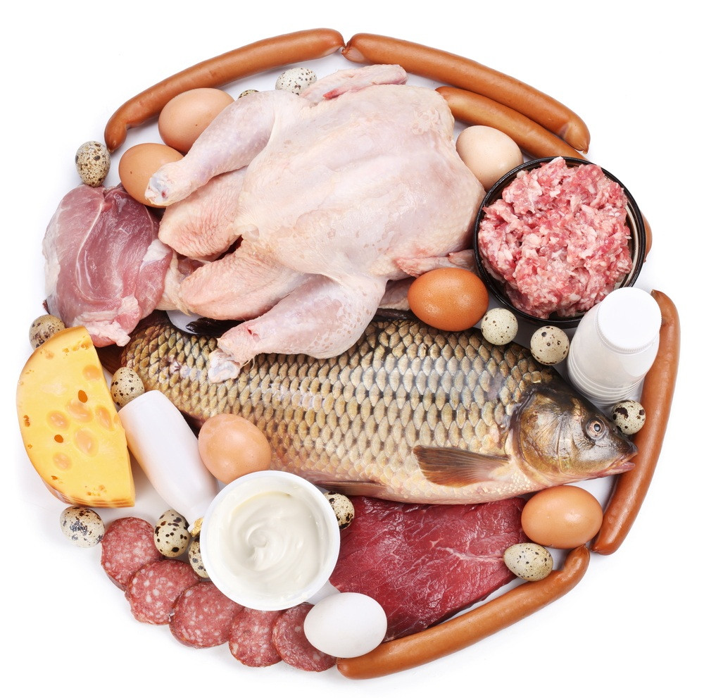 Healthy Meat Snacks
 The effect of the protein on the body