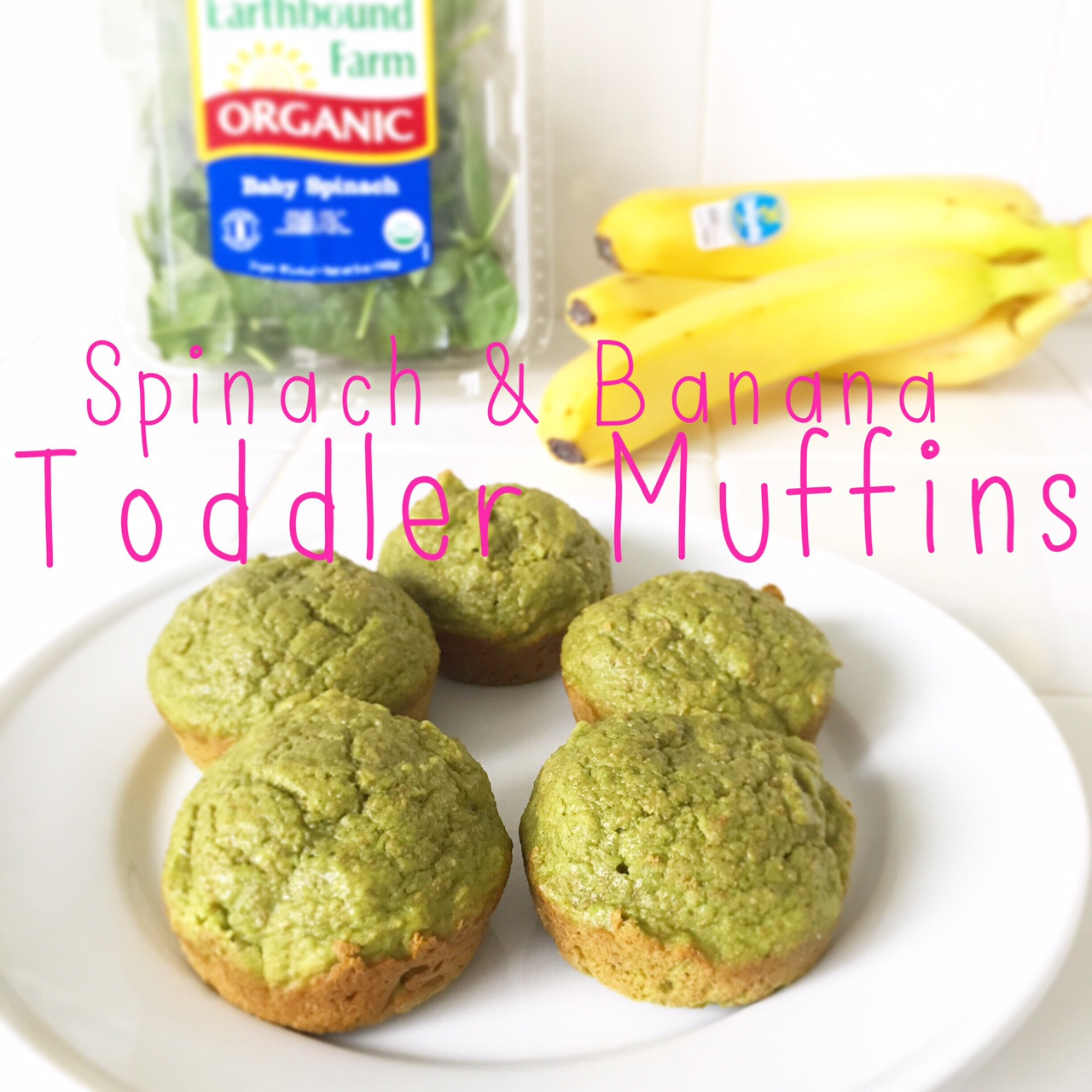 Healthy Muffins For Breakfast
 Spinach Banana Healthy Breakfast Muffins Recipe for