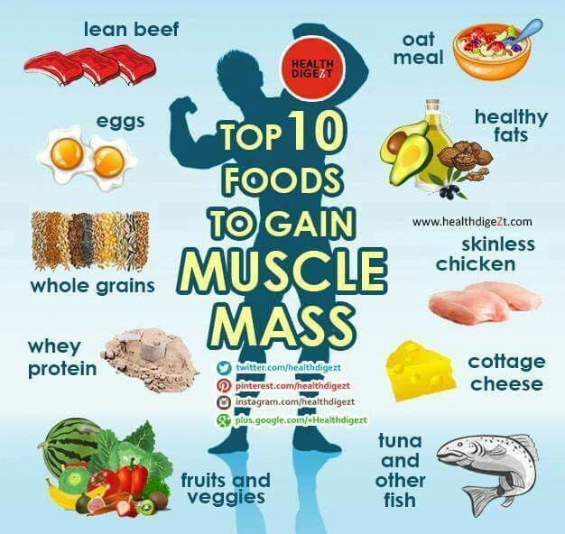 Healthy Muscle Building Snacks
 1000 ideas about Muscle Gain Diet on Pinterest