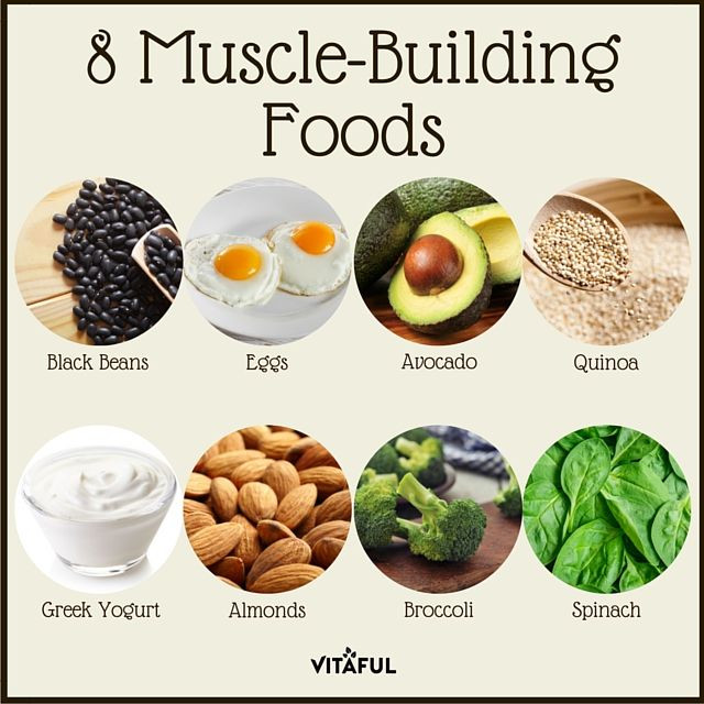 Healthy Muscle Building Snacks
 8 Muscle Building Foods Protein Health