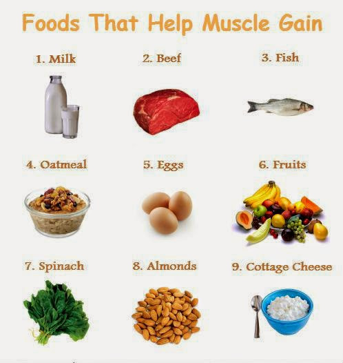 Healthy Muscle Building Snacks
 Muscle Building Foods To Build Muscle Fast – Quick Meal
