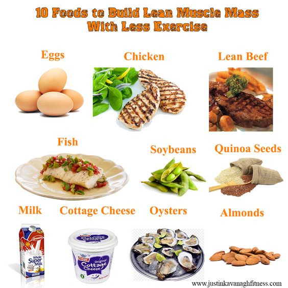 Healthy Muscle Building Snacks
 Build Lean Muscle With A High Protein Diet