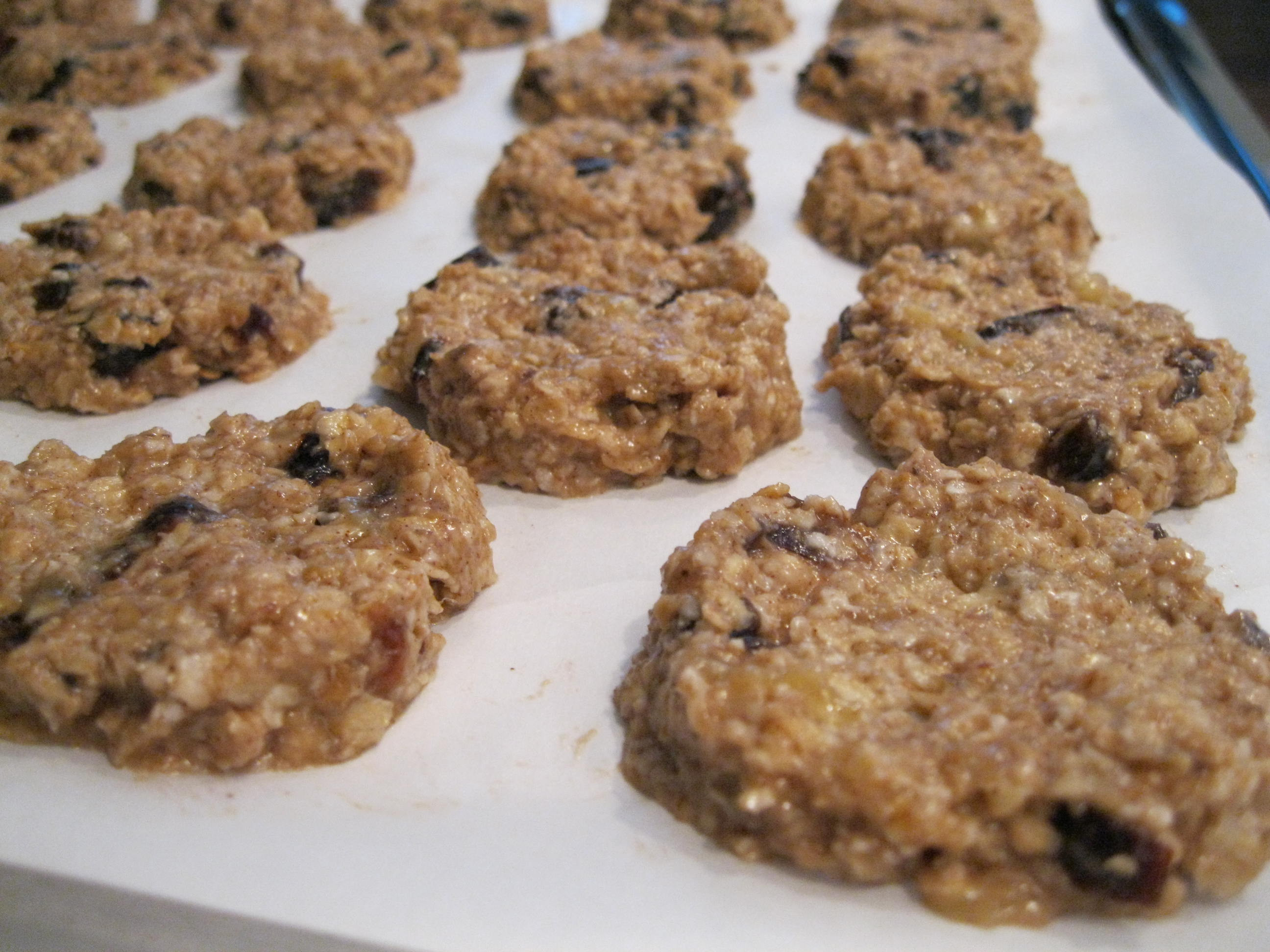 Healthy No Bake Banana Oatmeal Cookies
 Banana Oatmeal Granola Bar Bite Cookies… Butterless