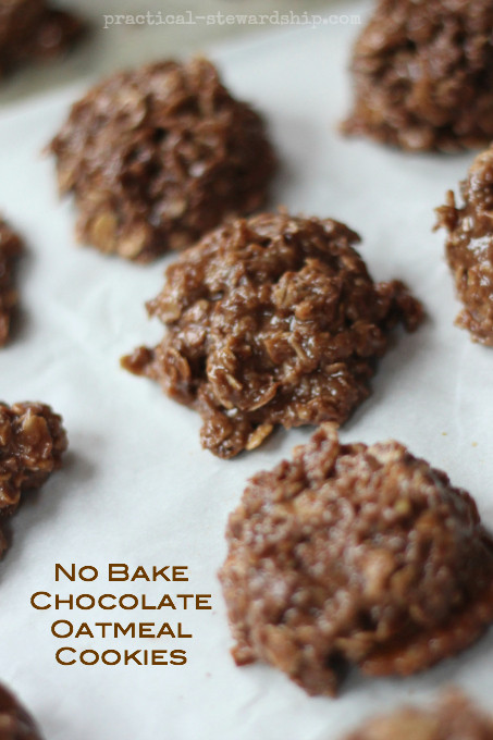 Healthy No Bake Chocolate Oatmeal Cookies
 vegan no bake chocolate oatmeal cookies