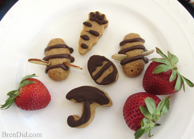 Healthy No Bake Cookies Honey
 Winnie the Pooh Party & Healthy Honey Bee No Bake Cookies