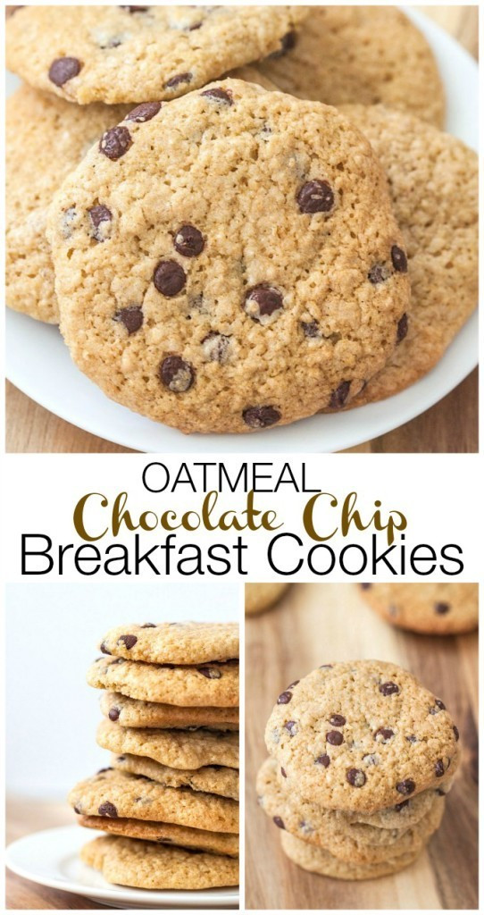 Healthy No Bake Oatmeal Chocolate Chip Cookies
 Healthy Oatmeal Chocolate Chip Breakfast Cookies